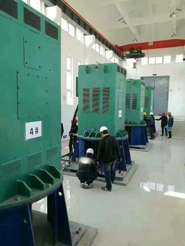 黄潭镇某污水处理厂使用我厂的立式高压电机安装现场
