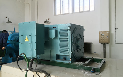 黄潭镇某水电站工程主水泵使用我公司高压电机